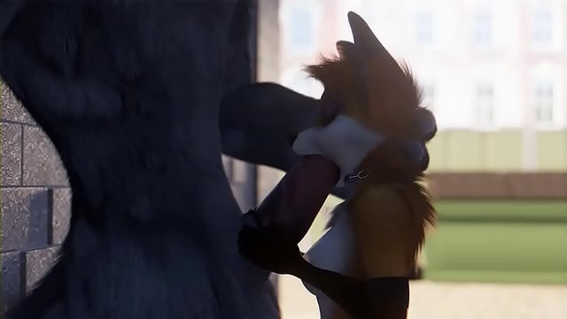 Ruaidri Collection Furry Yiff Hentai Non Censure Sex